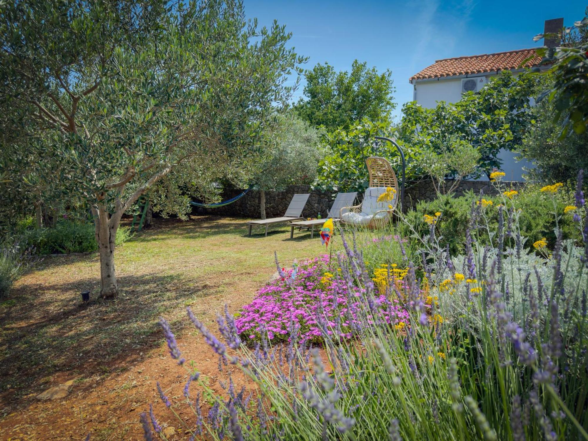 Holiday Home Lavanda Kornić Exterior foto
